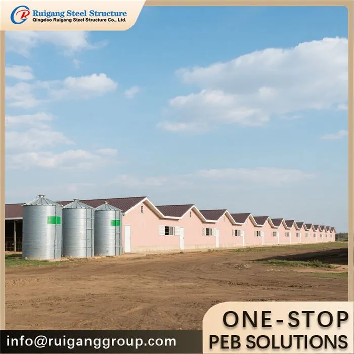 Chicken House For Broilers