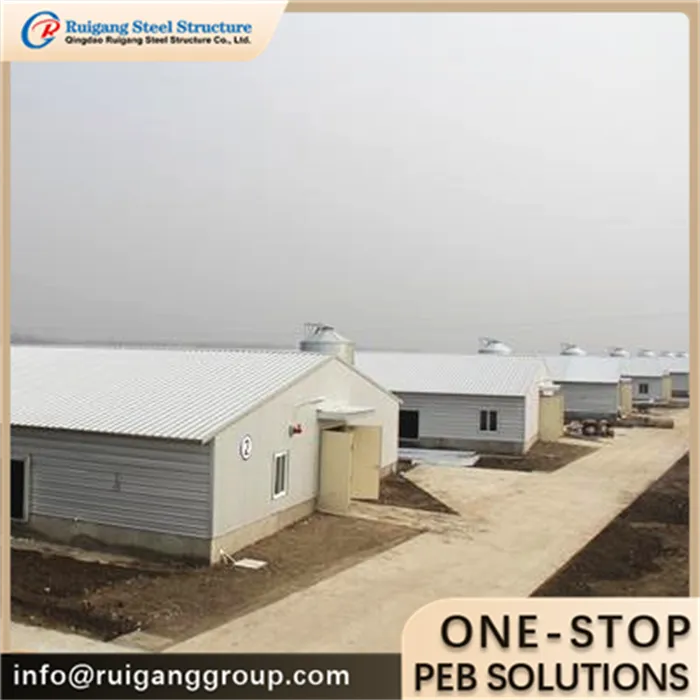 Livestock Steel Structure Building